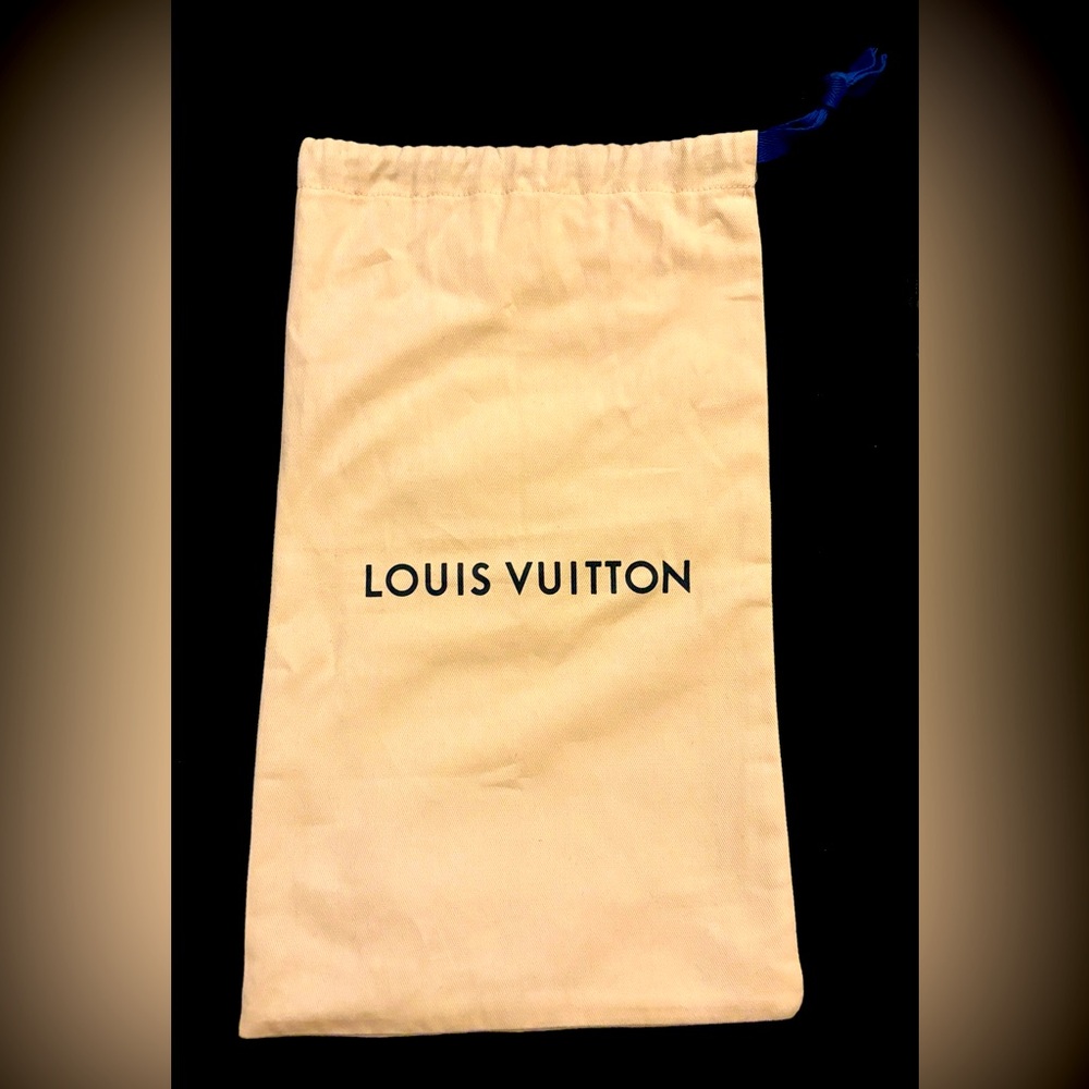 Louis Vuitton storage bag